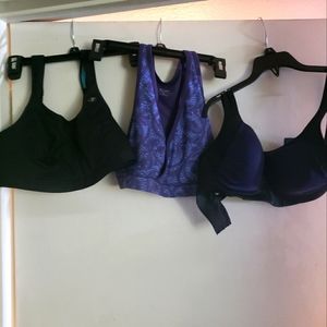 Champion set of 3 bra size 36D